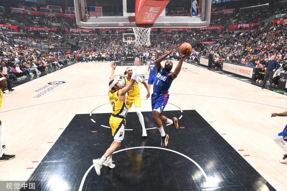 绿色草坪维 绿色草坪维